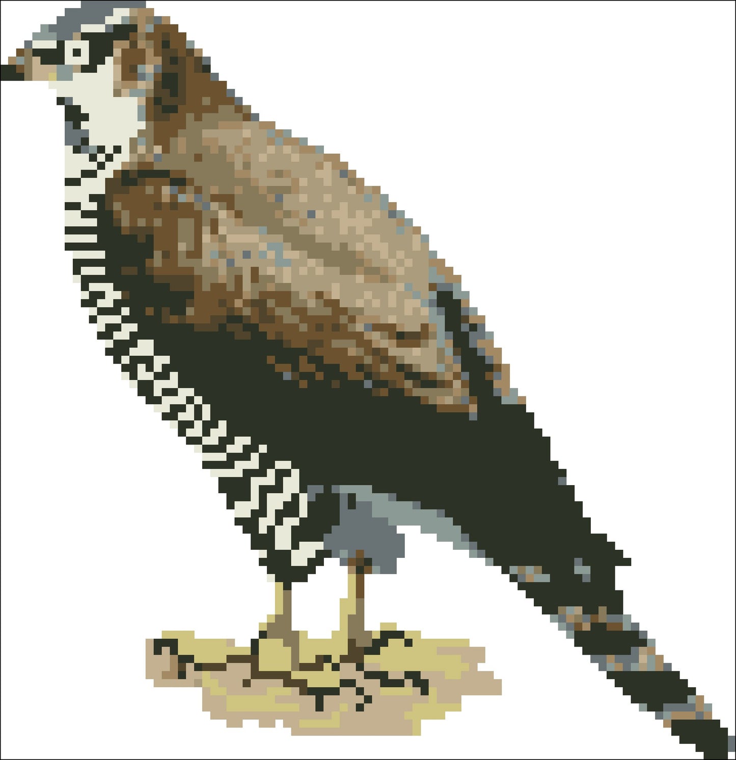 Borduurpakket Buizerd 21x21cm