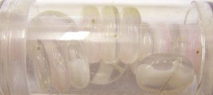 Guterman muntkraal 15mm transp/wit ca.14st