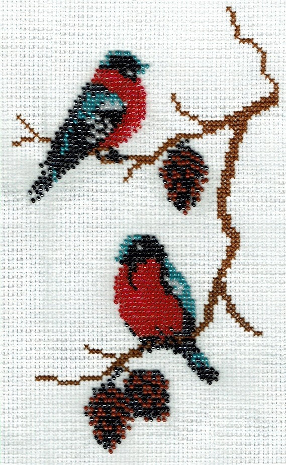 Borduurpakket roodborstje 22x14cm