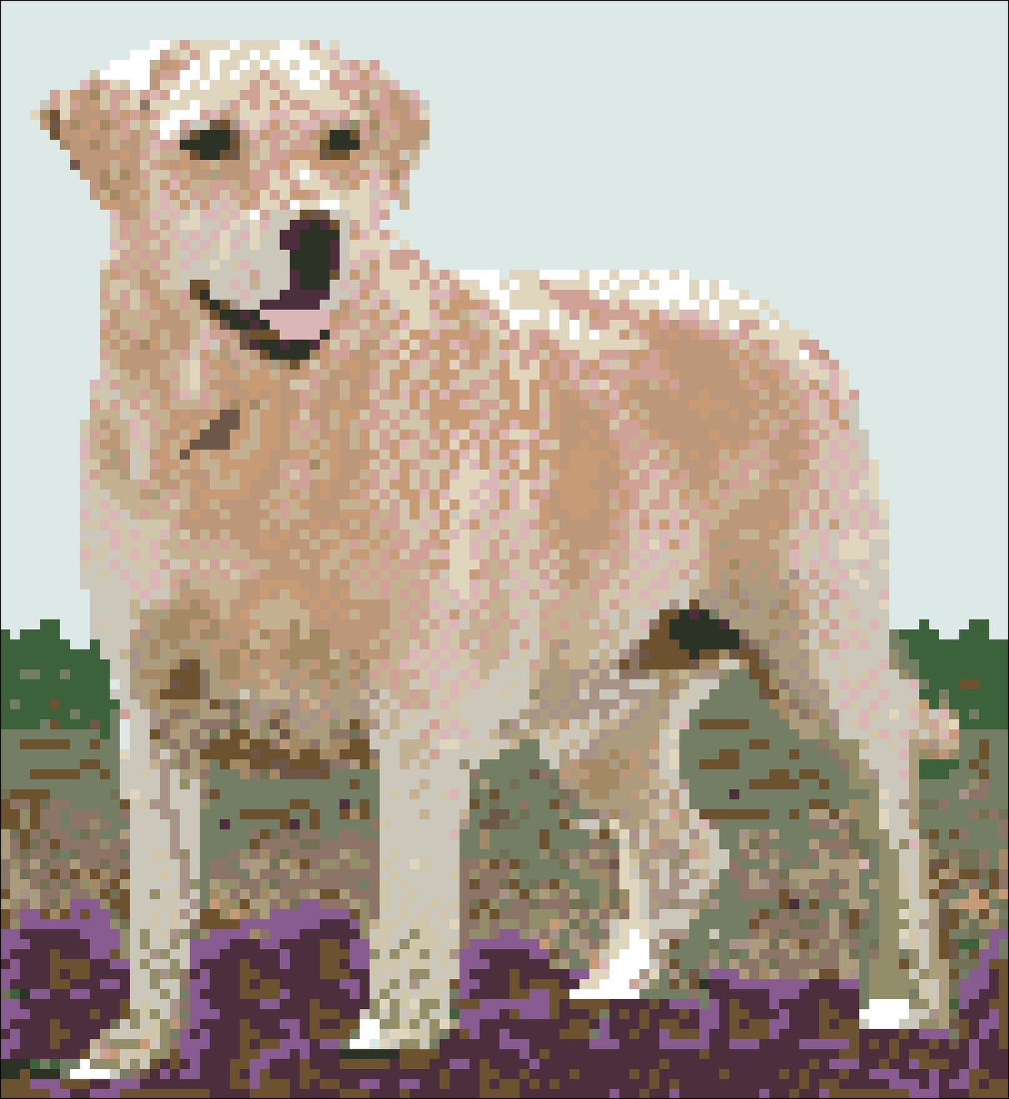 Borduurpakket Golden Retriever 25x23cm
