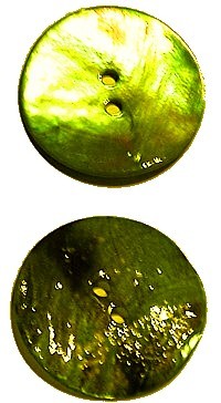 Schelphanger 265mm rond groen/geel 5st