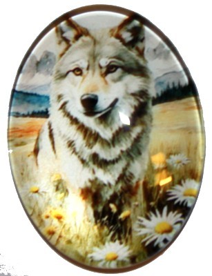 Cabochon 30x40mm Dieren