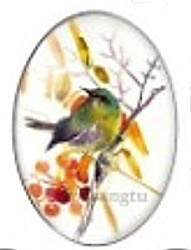 Cabochon 18x25mm vogels