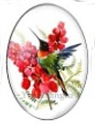 Cabochon 18x25mm vogels