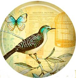Cabochon 25mm rond vogels