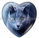 Cabochon 25mm hartvorm katten foto