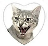 Cabochon 25mm hartvorm katten foto