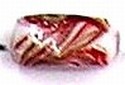 Glaskraal 21x10mm wit/rood bewerkt 5st