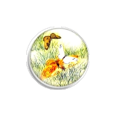 Cabochon 25mm rond bloemen en vlinders