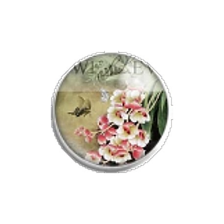 Cabochon 25mm rond bloemen en vlinders