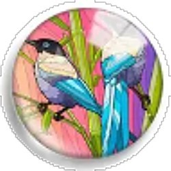 Cabochon 25mm rond vogels