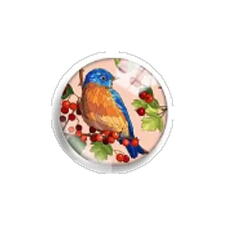 Cabochon 25mm rond vogels