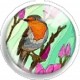 Cabochon 25mm rond vogels