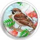 Cabochon 25mm rond vogels