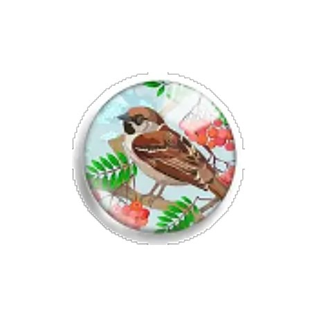 Cabochon 25mm rond vogels