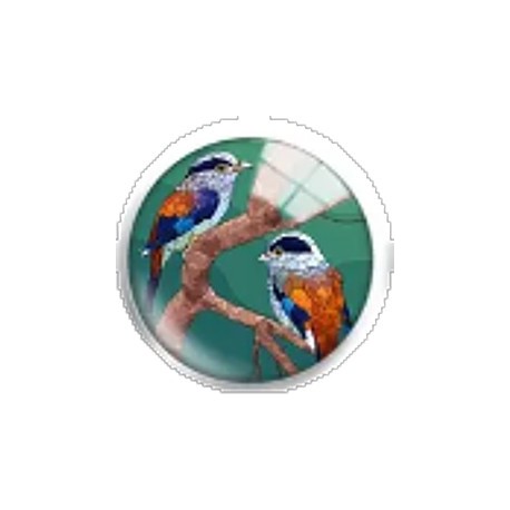 Cabochon 25mm rond vogels