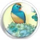 Cabochon 25mm rond vogels