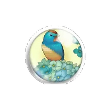 Cabochon 25mm rond vogels