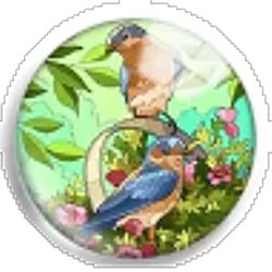 Cabochon 25mm rond vogels