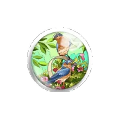 Cabochon 25mm rond vogels