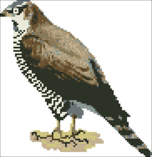 Borduurpakket Buizerd 21x21cm