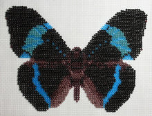 Borduurpakket vlinder paars/zwart/blauw 12x18cm