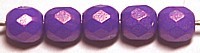 Facetkraal 4mm white full purple coated 50st.