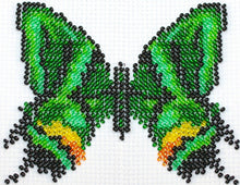 Vlinder multicolor 9x11 cm.