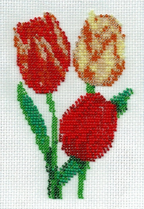 Borduurpakket Tulpen 10x15cm.