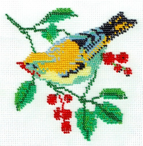 Borduurpakket vogel oranje/geel/blauw 18x18cm.