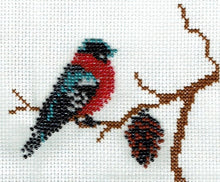 Borduurpakket roodborstje 11x14cm
