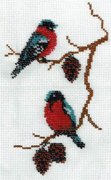 Borduurpakket roodborstje 22x14cm