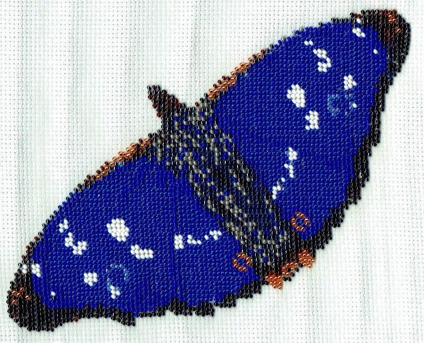 Borduurpakket vlinder 16x21cm blauw/zwart/grijs
