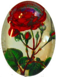 Camee ovaal 18x25mm zomerbloemen
