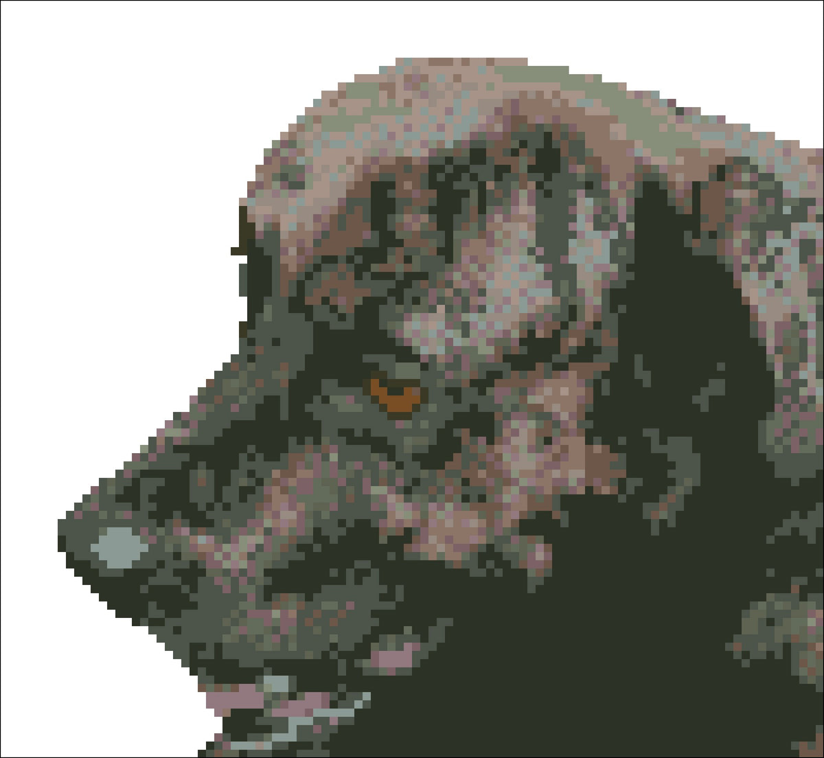 Borduurpakket hond BoerboelXTurkse herder 22cm