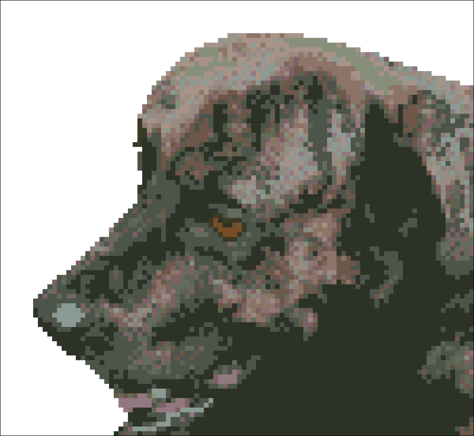 Borduurpakket hond BoerboelXTurkse herder 22cm