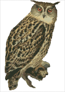 Borduurpakket Oehoe uil 47x33cm