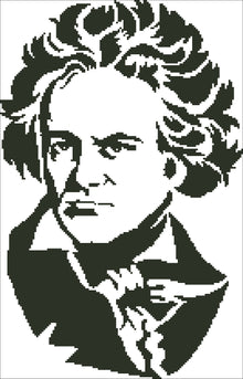 Borduurpakket Ludwig van Beethoven 31x40cm