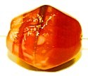 Glaskraal 15x12mm oranje gestreept 5st.