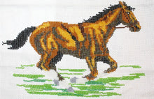 Borduurpakket paard in galop ca 20x30cm