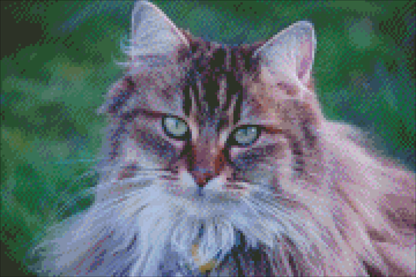 Borduurpakket Maine Coon kat 40x27cm