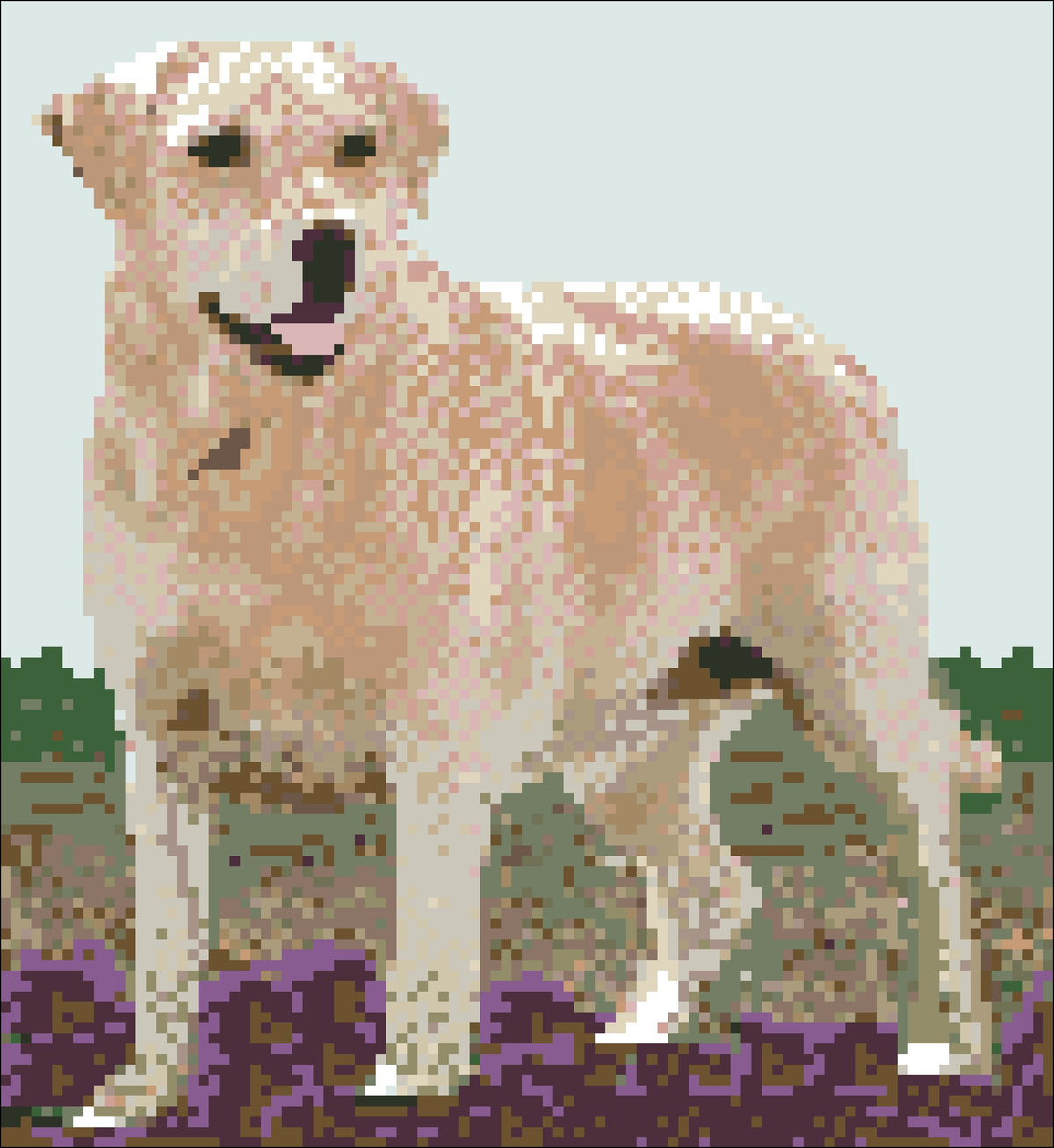 Borduurpakket Golden Retriever 25x23cm