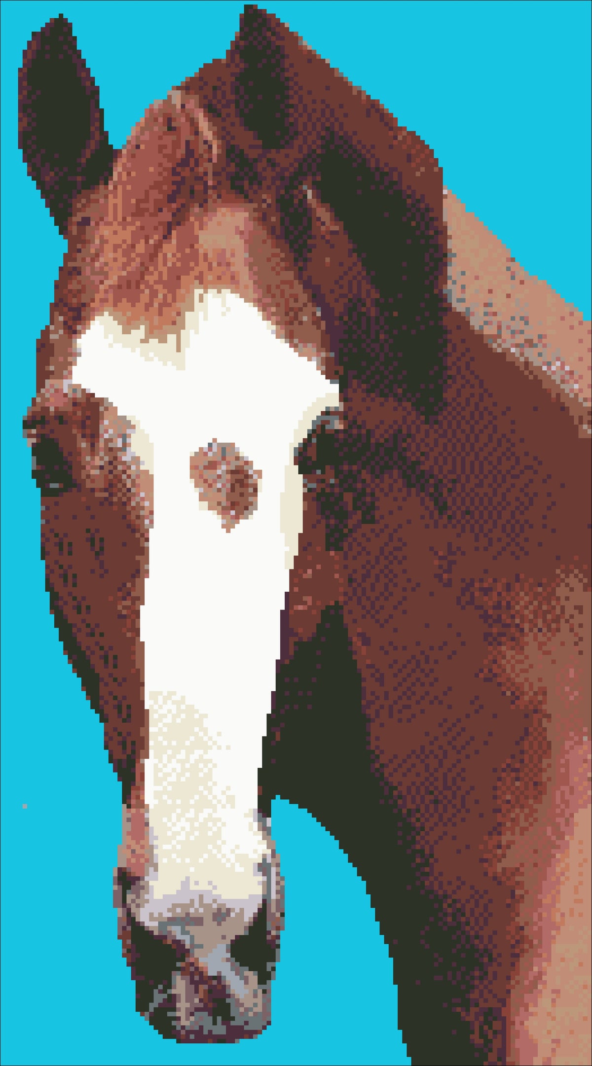Borduurpakket paardenhoofd 53x30cm