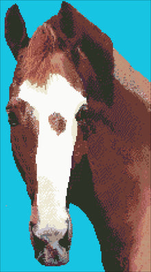 Borduurpakket paardenhoofd 53x30cm