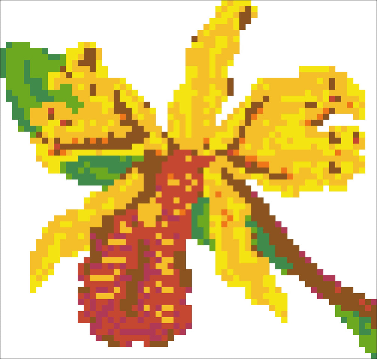 Borduurpakket Cattleya 14x14cm.