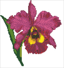 Borduurpakket Cattleya-Warsewiczii 23x23cm