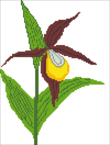 Borduurpakket Cypripedium calceolus 29x22cm