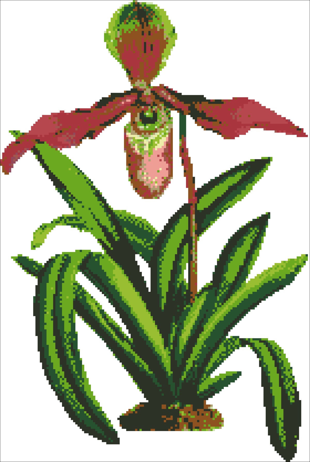 Borduurpakket Paphiopedilum 47x31cm
