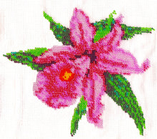 Borduurpakket Sobralia 17x20cm