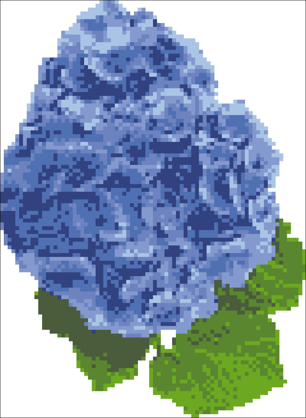 Borduurpakket Hortensia blauw 24x18cm.